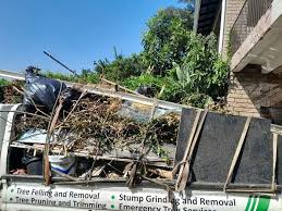 Best Shed Removal  in Luther, OK